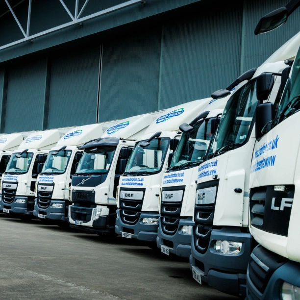 Row of shredding trucks line up.