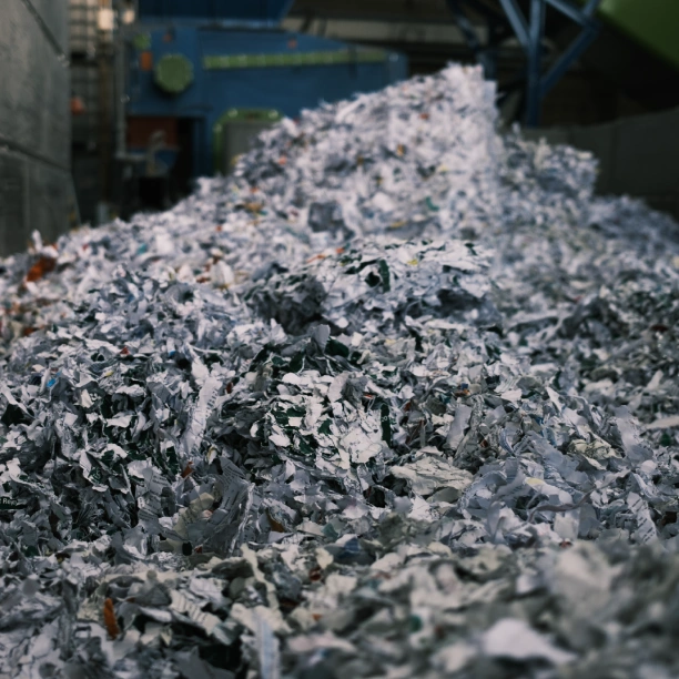 Pile of shredded paperwork