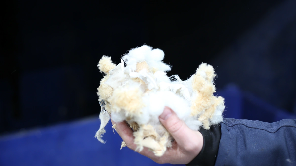 Shredded fibres of faux furr and stuffing. The item was once a teddy bear.