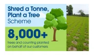 A photograph of a field planted with hundreds of tree saplings, alongside text that reads - 