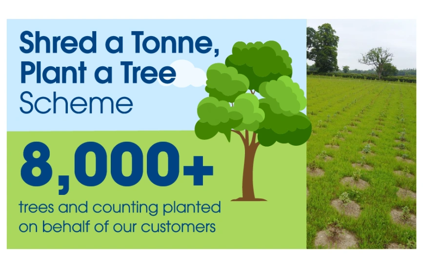 A photograph of a field planted with hundreds of tree saplings, alongside text that reads - 