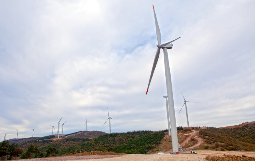 Wind turbines set on forested hills from ground view.