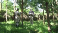 Two quantifiers collecting information about new trees being grown. One had a sheet of paper and is writing, and the other is measuring the tree trunk with a tape measure.