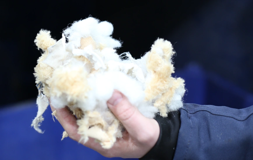 Shredded teddy bear.