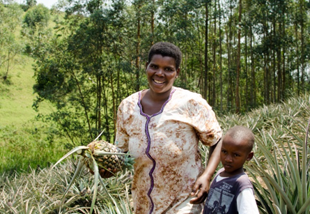 Image of smiling Ugandan woman harvesting pineapples with her young son