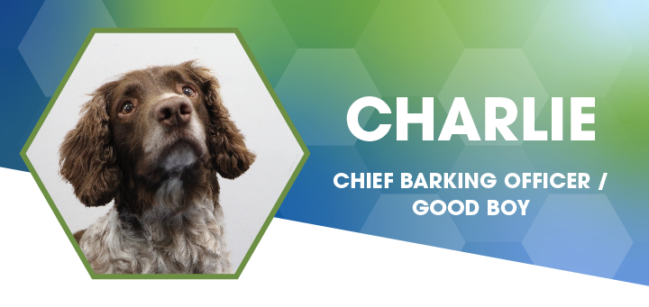 Image of Charlie Franklin, Chief Barking Officer.