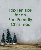 Top Ten Tips for an Eco-Friendly Christmas blog image with three small Christmas Trees on a grey background