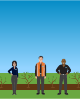 Graphic illustration of new trees being planted.