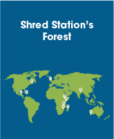 Map of where Shred Station has planted trees