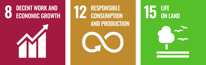 Image of thee SDG icons - Goal 8 Decent work and economic growth - Goal 12 Responsible consumption and production - Goal 15 Life on land.