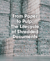 From Paper to Pulp: The Lifecycle of Shredded Documents